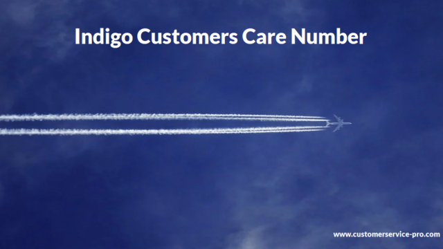 Indigo Customers Care Number